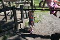 Picture 7635